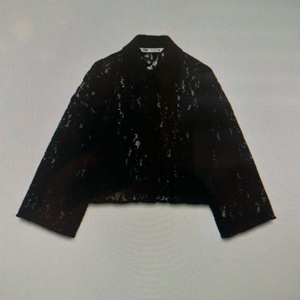 Zara lace crop shirt